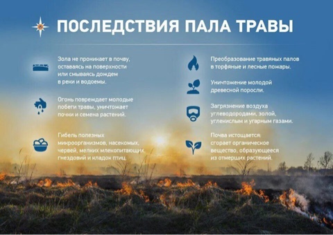 Памятки по пожарной безопасности. Памятки по пожарной безопасности.